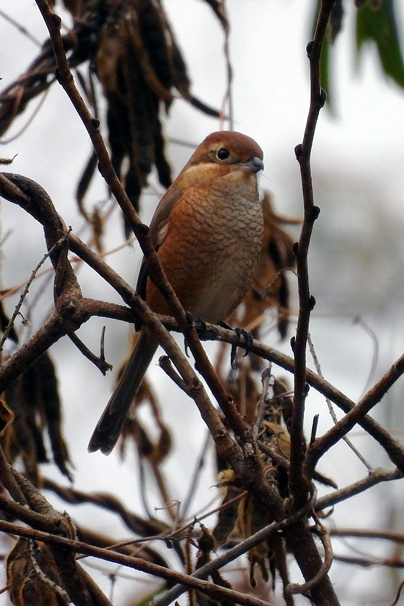 �^�C������