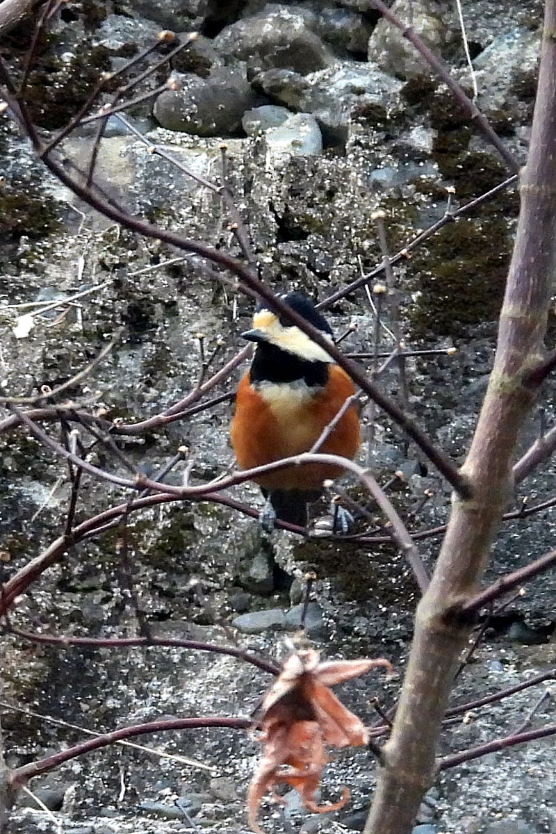 �^�C������