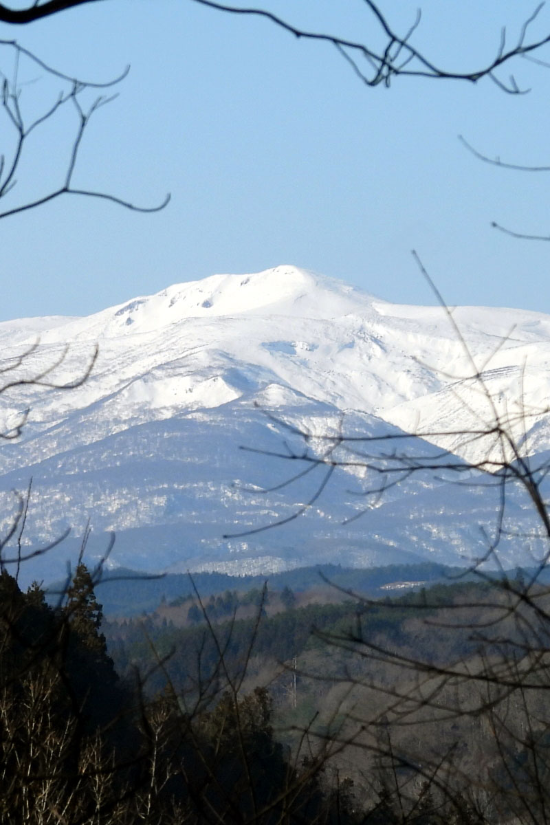 �^�C������