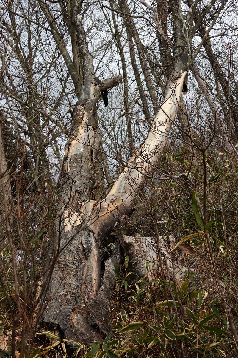 ���}�K��